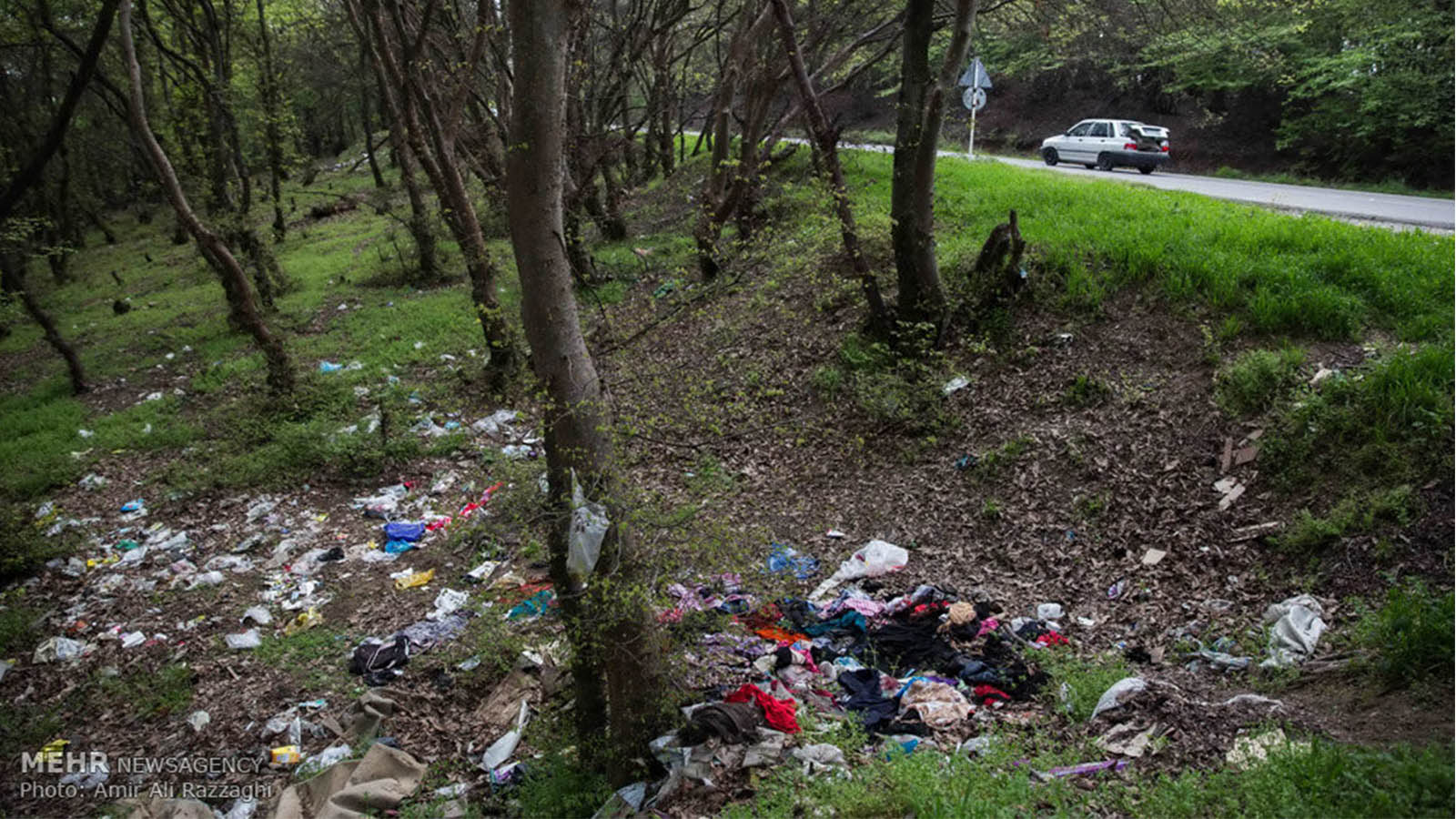 بوم گرد ها در سفرهای خود چگونه با محیط زیست رفتار می کنند؟