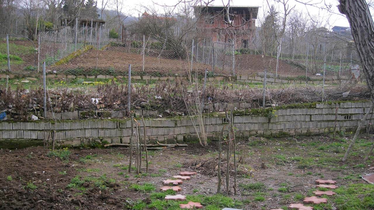 ویلا جنگلی تک خواب