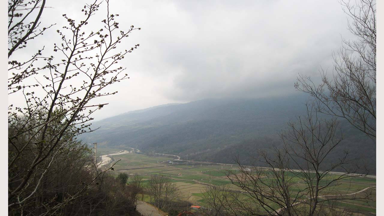 ویلا جنگلی تک خواب