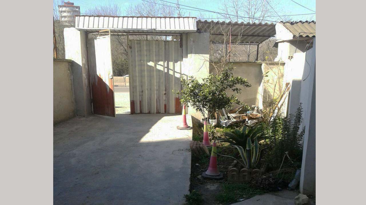 سوییت جنگلی با چشم انداز جنگل