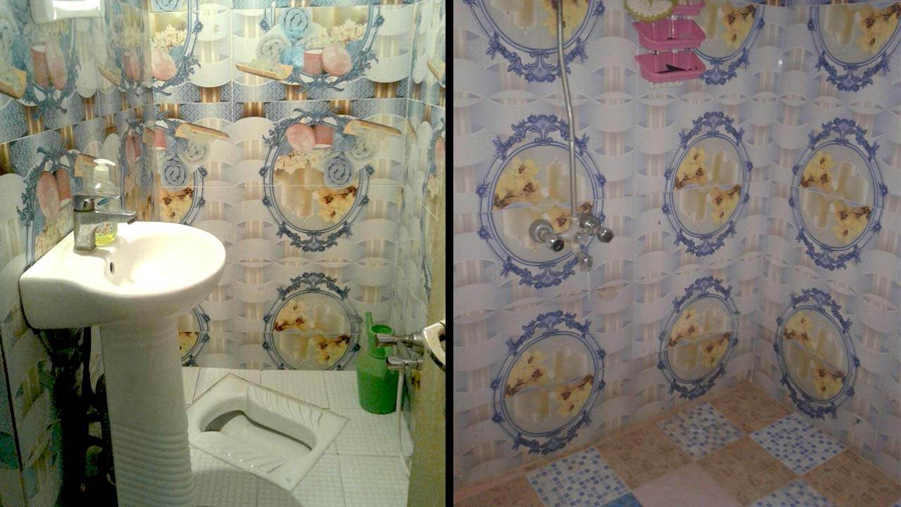 سوییت جنگلی با چشم انداز جنگل