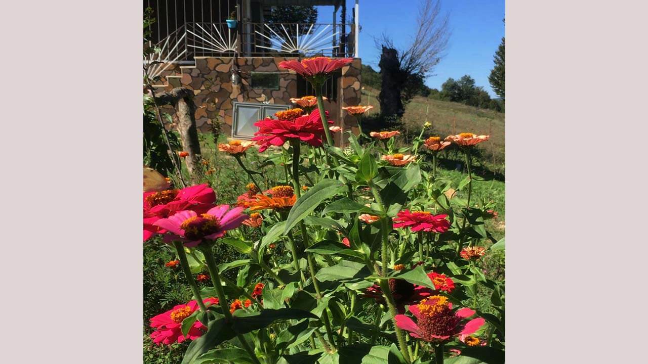 اقامتگاه ساره خاتون