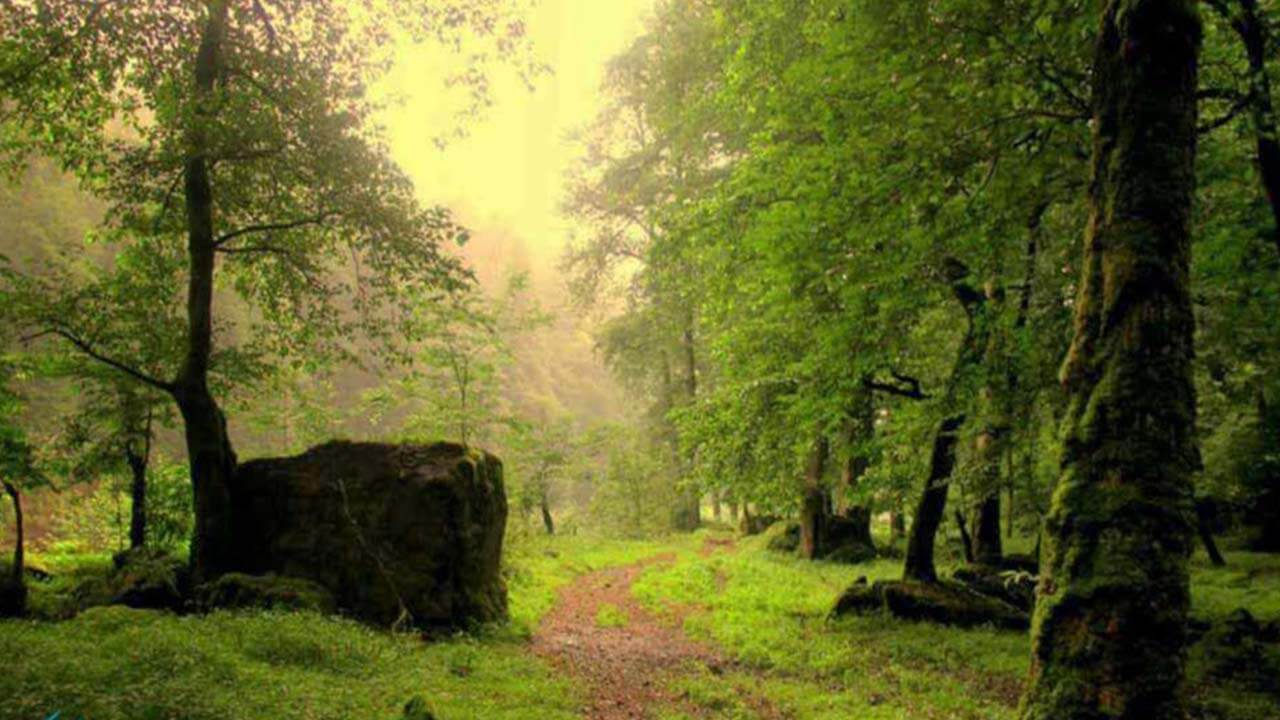 اقامتگاه بهشت گمشده