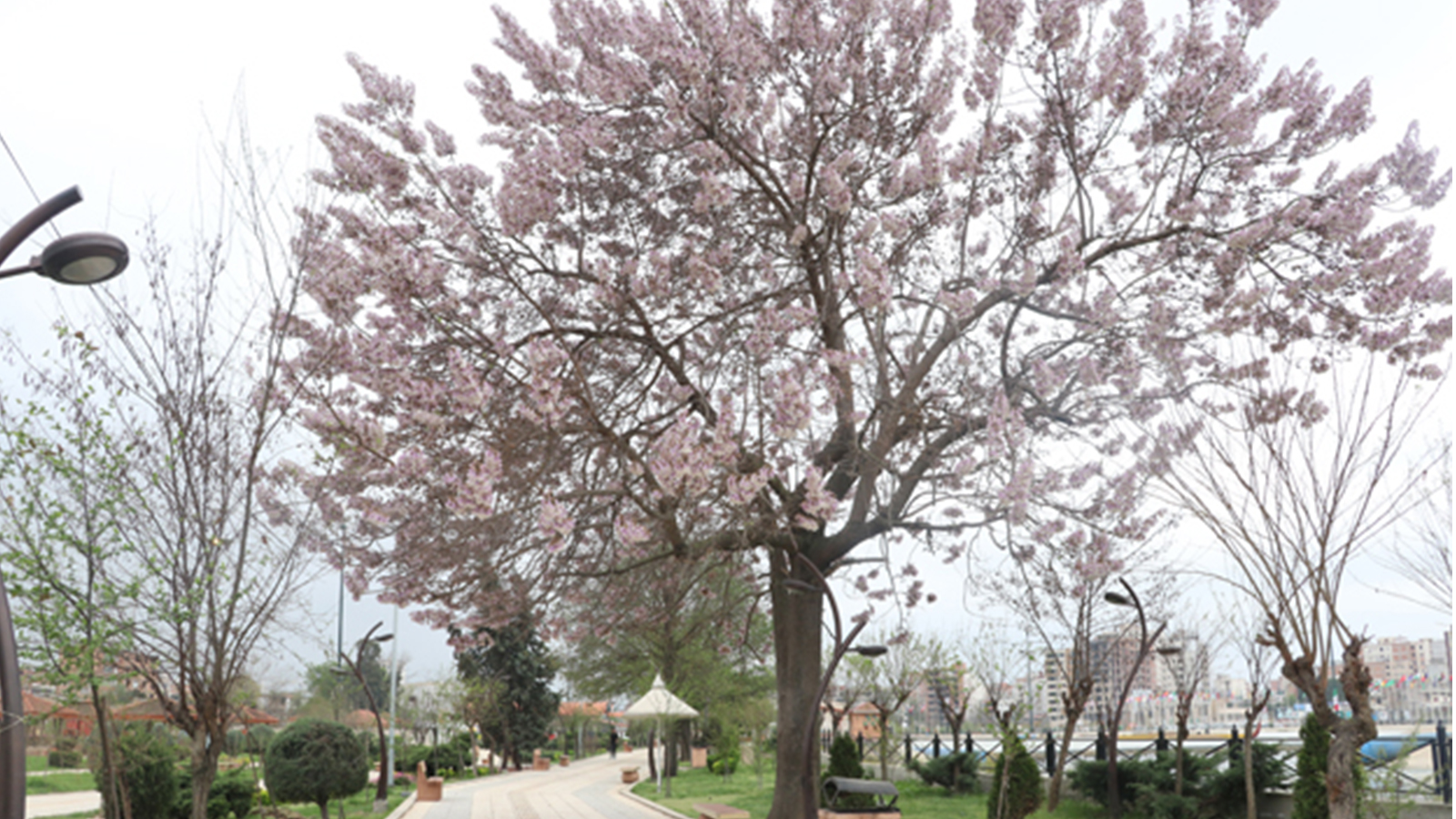 پارک قایم تجن