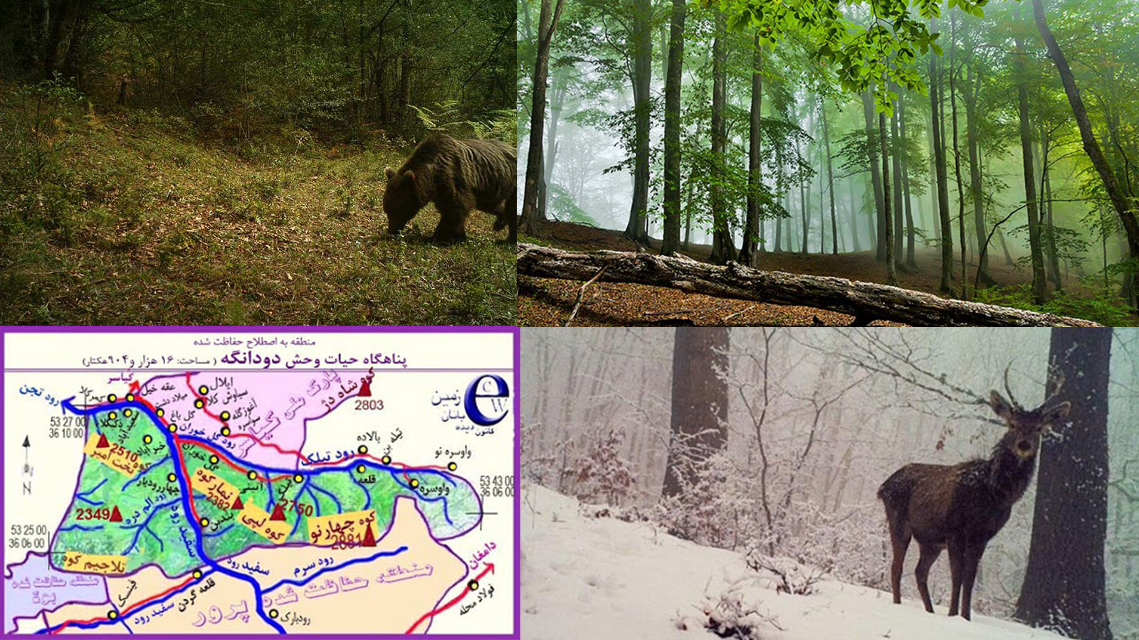 پناهگاه حیات وحش دودانگه و چهاردانگه